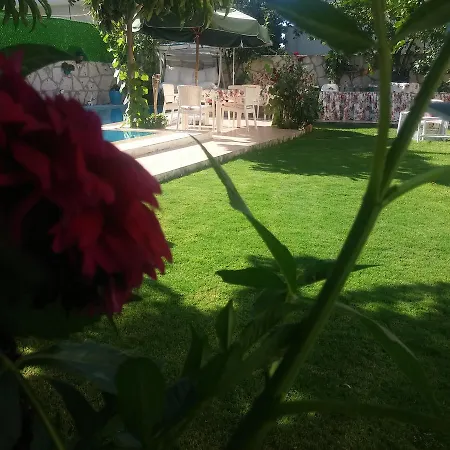 Sari Kosk Butik Hotel Alaçatı