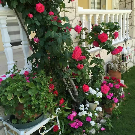 Otel Sari Kosk Butik Alaçatı