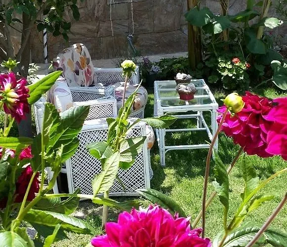 Sari Kosk Butik فندق